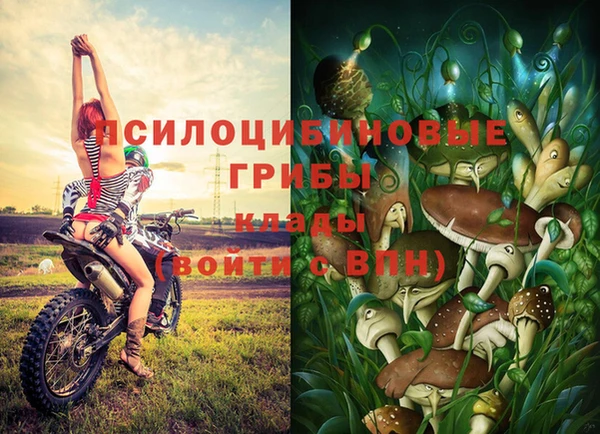 прущая мука Белокуриха