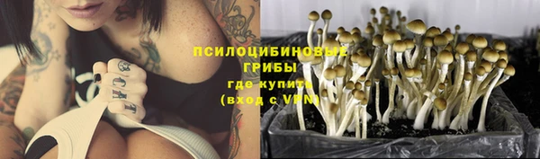 прущая мука Белокуриха